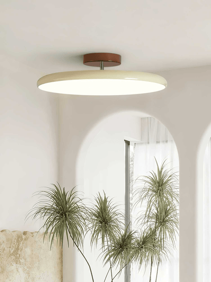 Adjustable Ceiling Lamp | Sleek Circular Design with Customizable Lighting for Indoor Spaces