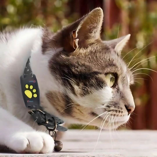 GPS Cat Tracker with Real-Time Location, Waterproof Design, and Long Battery Life for Pet Safety and Monitoring