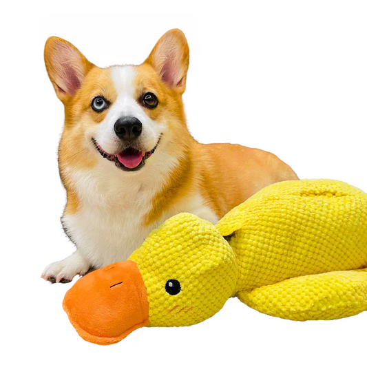 Durable Duck Dog Toy | Calming, Chew-Resistant & Ideal for Mental Stimulation and Anxiety Relief for All Dog Sizes