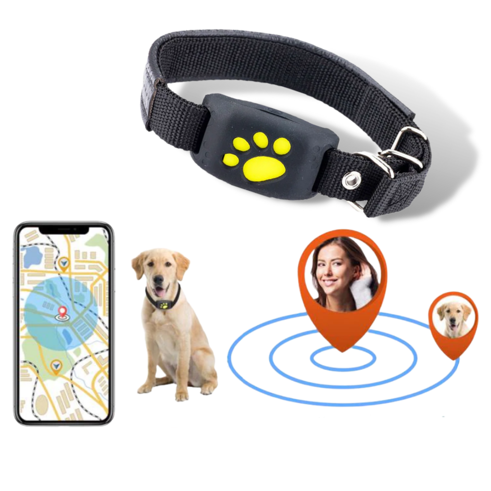 GPS Pet Tracking Collar with Real-Time Location, Waterproof Design, Adjustable Fit for Dogs and Cats, Ideal for Outdoor Adventures