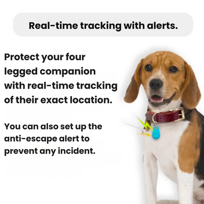 GPS Dog Tracker | Waterproof, Real-Time Location & Safety Zone Alerts for Outdoor Adventures