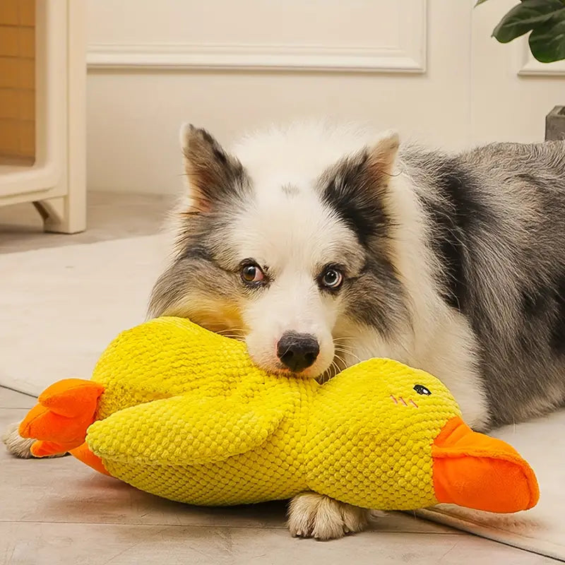 Durable Duck Dog Toy | Calming, Chew-Resistant & Ideal for Mental Stimulation and Anxiety Relief for All Dog Sizes