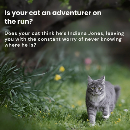 GPS Cat Tracker | Lightweight, Waterproof & No Subscription Needed for Real-Time Tracking