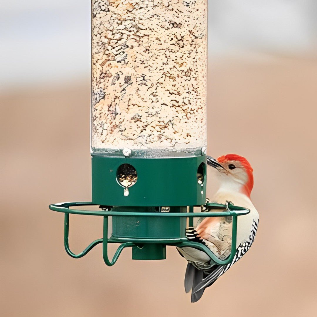 Squirrel-Proof Bird Feeder with Spinning Mechanism and 5 lb Seed Capacity for Wild Birds in Backyard Gardens