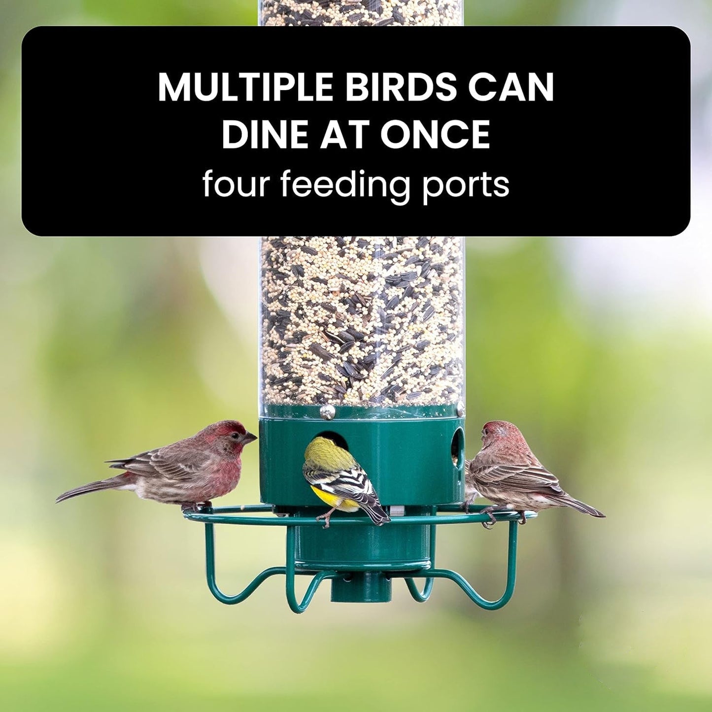 Squirrel-Proof Bird Feeder with Spinning Mechanism and 5 lb Seed Capacity for Wild Birds in Backyard Gardens