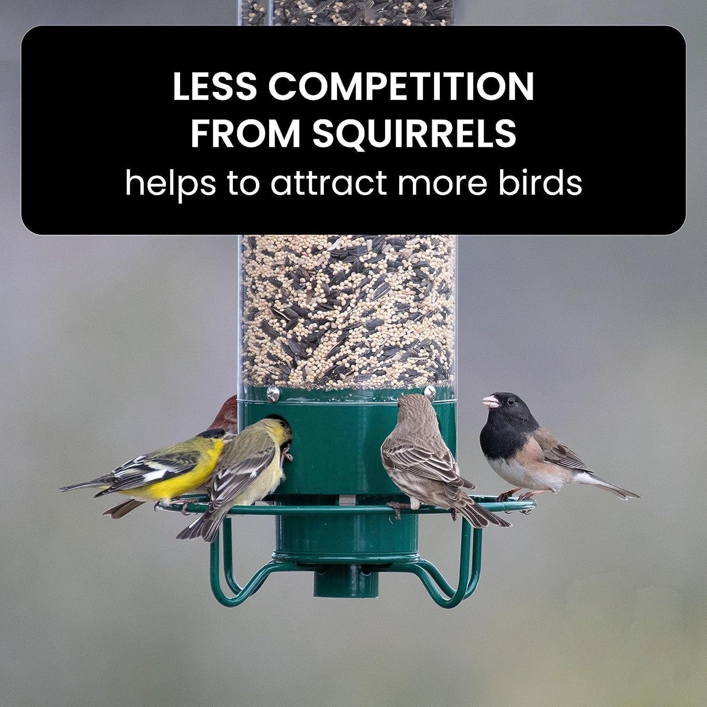 Squirrel-Proof Bird Feeder with Spinning Mechanism and 5 lb Seed Capacity for Wild Birds in Backyard Gardens