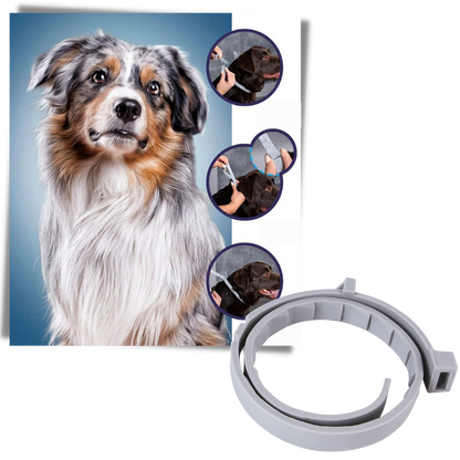 Anti Flea Collar for Dogs and Cats | Long-Lasting, Comfortable & Safe for Pets