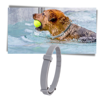 Anti Flea Collar for Dogs and Cats | Long-Lasting, Comfortable & Safe for Pets