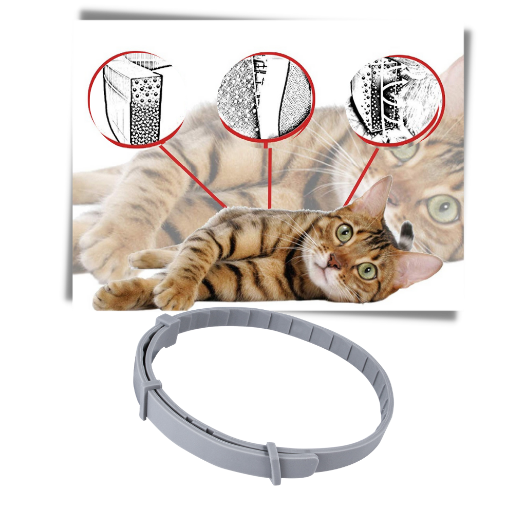 Anti Flea Collar for Dogs and Cats | Long-Lasting, Comfortable & Safe for Pets