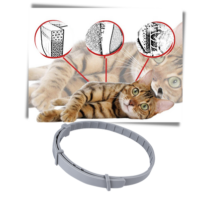 Anti Flea Collar for Dogs and Cats | Long-Lasting, Comfortable & Safe for Pets