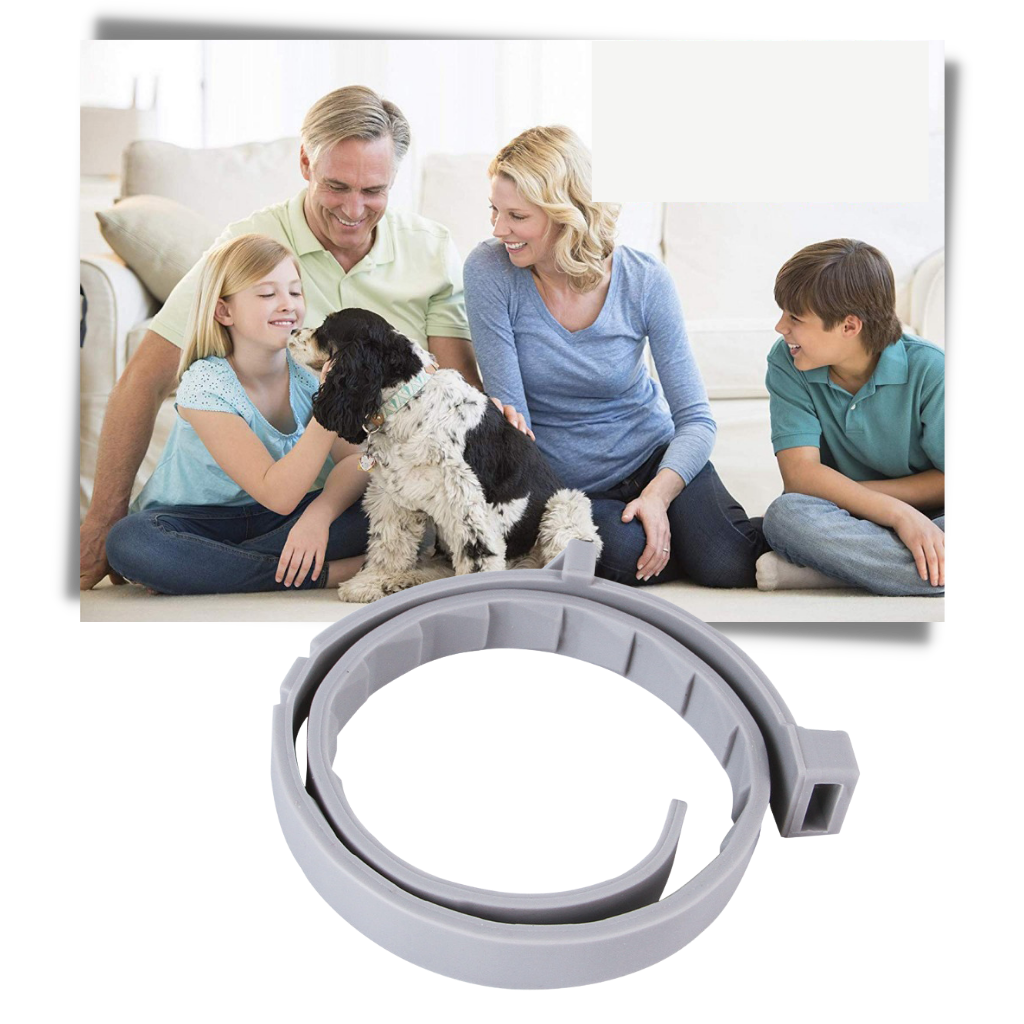 Anti Flea Collar for Dogs and Cats | Long-Lasting, Comfortable & Safe for Pets