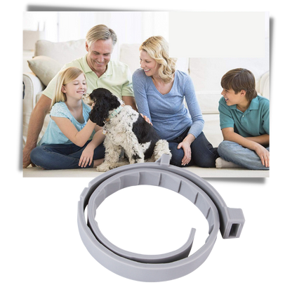 Anti Flea Collar for Dogs and Cats | Long-Lasting, Comfortable & Safe for Pets