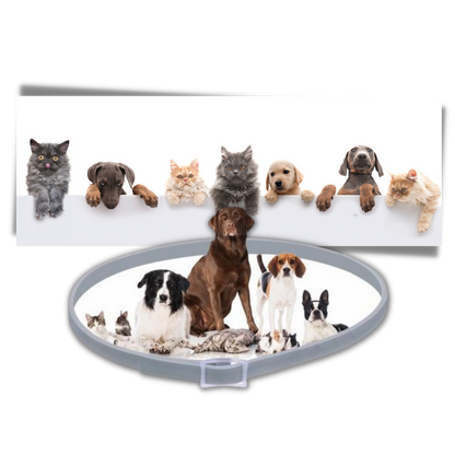 Anti Flea Collar for Dogs and Cats | Long-Lasting, Comfortable & Safe for Pets