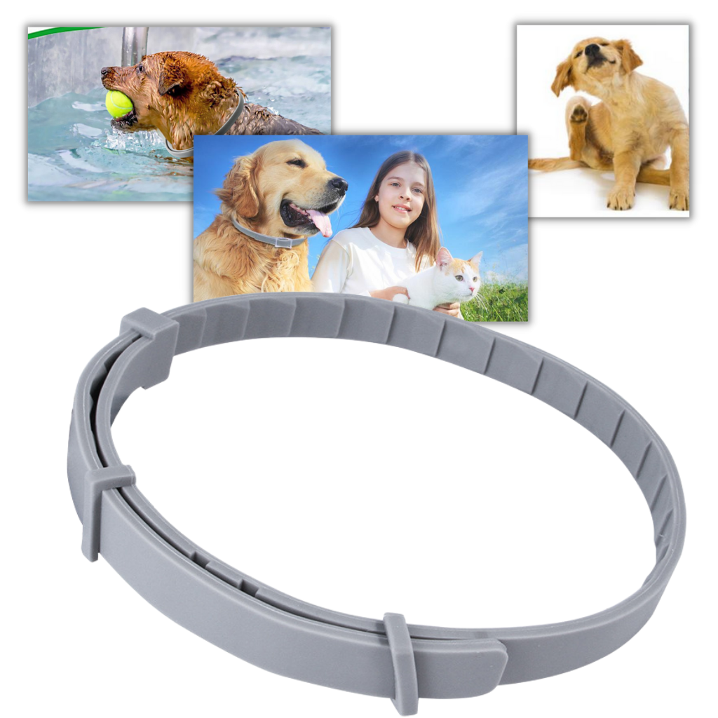 Anti Flea Collar for Dogs and Cats | Long-Lasting, Comfortable & Safe for Pets