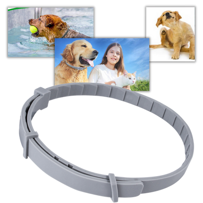 Anti Flea Collar for Dogs and Cats | Long-Lasting, Comfortable & Safe for Pets