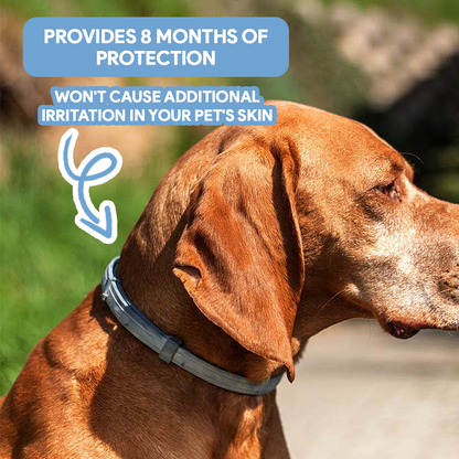 Anti-Tick Collar for Dogs & Cats - 8-Month Flea and Tick Repellent Treatment for Dogs and Cats