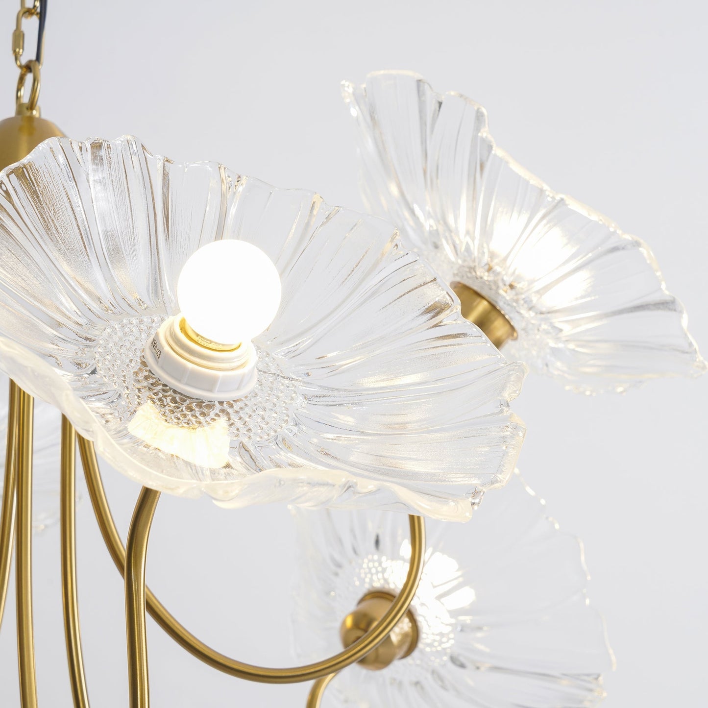 Lotus Leaf Glass Chandelier | Frosted Glass, Gold Finish & Ideal for Indoor Lighting