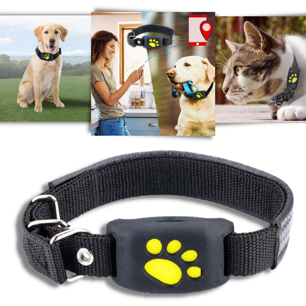 GPS Pet Tracking Collar with Real-Time Location, Waterproof Design, Adjustable Fit for Dogs and Cats, Ideal for Outdoor Adventures