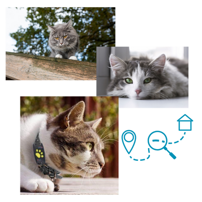 GPS Pet Tracking Collar with Real-Time Location, Waterproof Design, Adjustable Fit for Dogs and Cats, Ideal for Outdoor Adventures