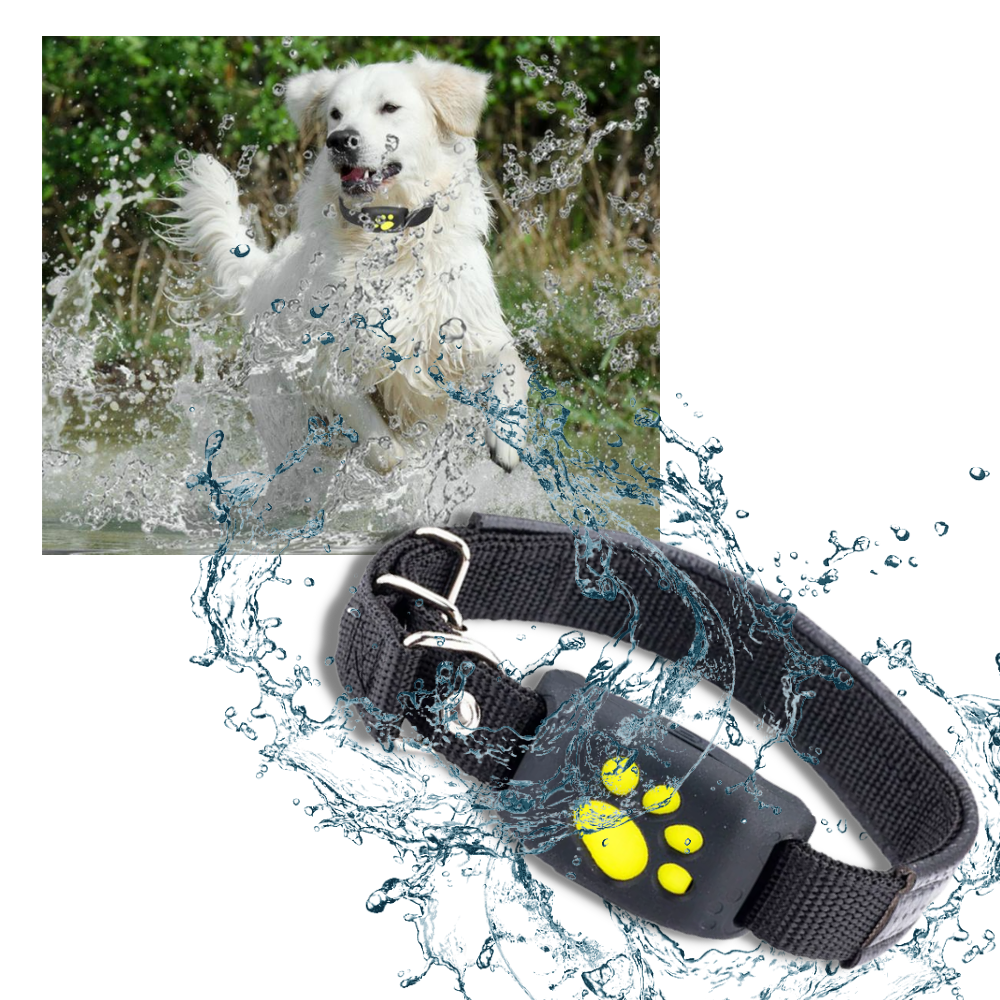 GPS Pet Tracking Collar with Real-Time Location, Waterproof Design, Adjustable Fit for Dogs and Cats, Ideal for Outdoor Adventures