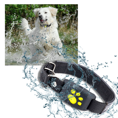 GPS Pet Tracking Collar with Real-Time Location, Waterproof Design, Adjustable Fit for Dogs and Cats, Ideal for Outdoor Adventures