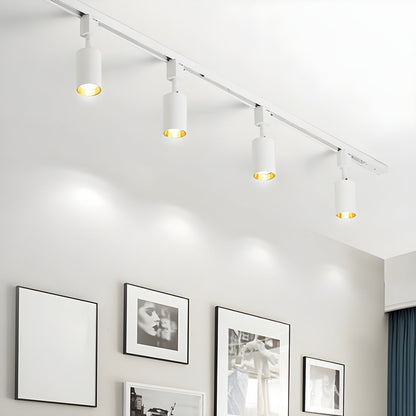 Sleek Cylinder Track Light | Dimmable, 30° Beam Angle & Ideal for Modern Interiors and Accent Lighting