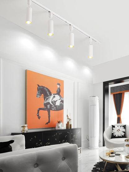 Sleek Cylinder Track Light | Dimmable, 30° Beam Angle & Ideal for Modern Interiors and Accent Lighting