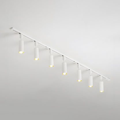 Sleek Cylinder Track Light | Dimmable, 30° Beam Angle & Ideal for Modern Interiors and Accent Lighting