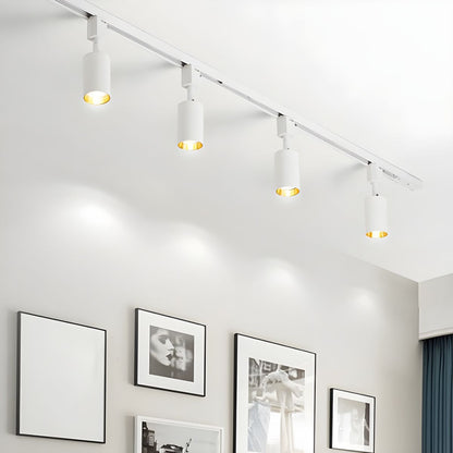 Sleek Cylinder Track Light | Dimmable, 30° Beam Angle & Ideal for Modern Interiors and Accent Lighting