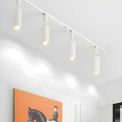Sleek Cylinder Track Light | Dimmable, 30° Beam Angle & Ideal for Modern Interiors and Accent Lighting