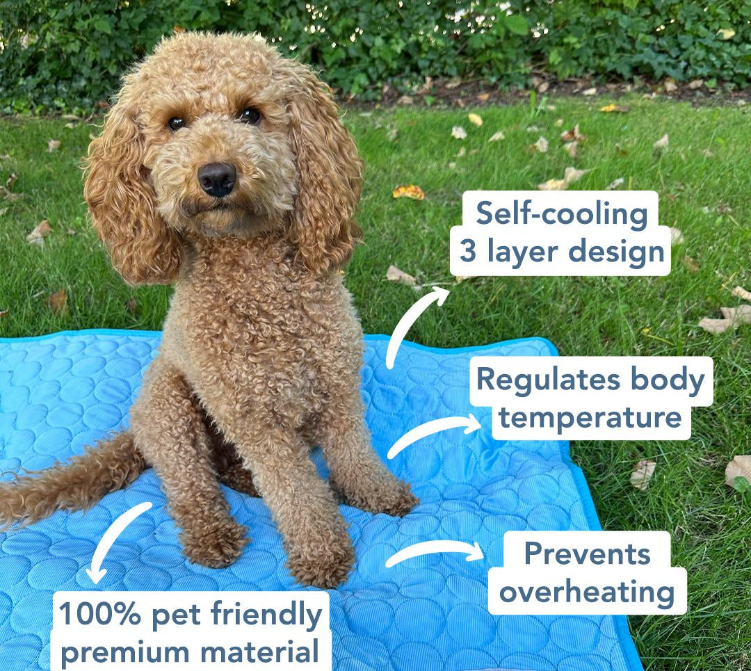 Pet Cooling Mat for Dogs & Cats - Non-Toxic, Portable, Self-Cooling Pad for Summer Use, Ideal for Home & Travel