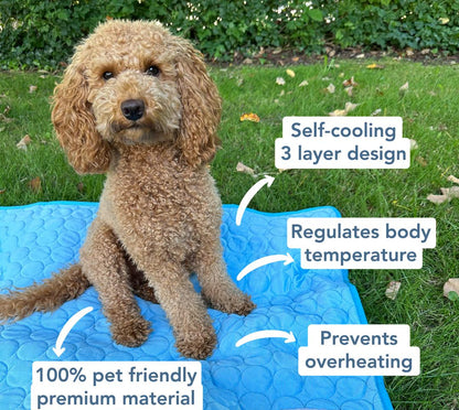 Pet Cooling Mat for Dogs & Cats - Non-Toxic, Portable, Self-Cooling Pad for Summer Use, Ideal for Home & Travel