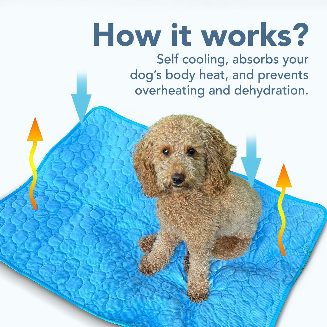 Pet Cooling Mat for Dogs & Cats - Non-Toxic, Portable, Self-Cooling Pad for Summer Use, Ideal for Home & Travel
