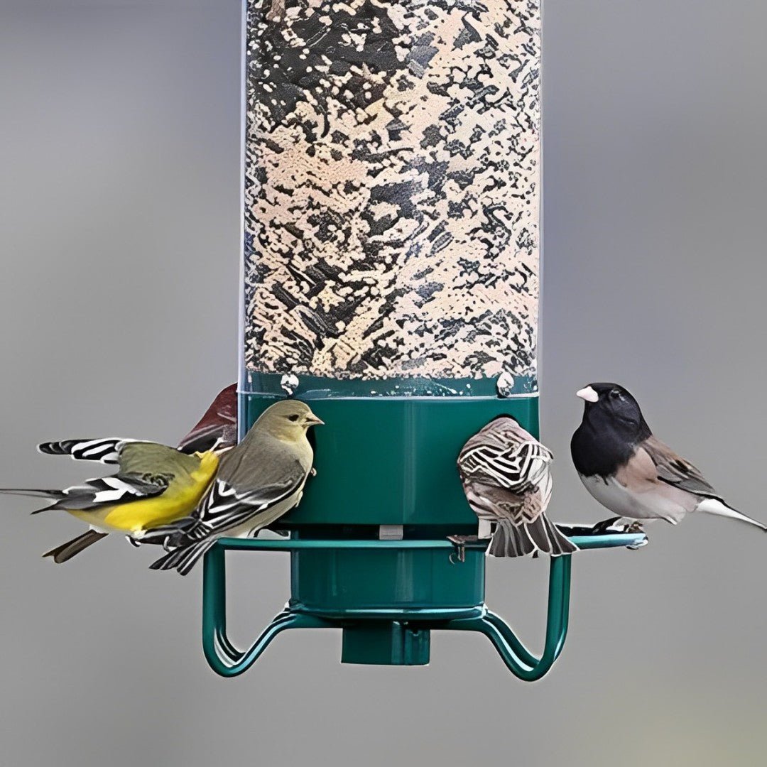 Squirrel-Proof Bird Feeder with Spinning Mechanism and 5 lb Seed Capacity for Wild Birds in Backyard Gardens