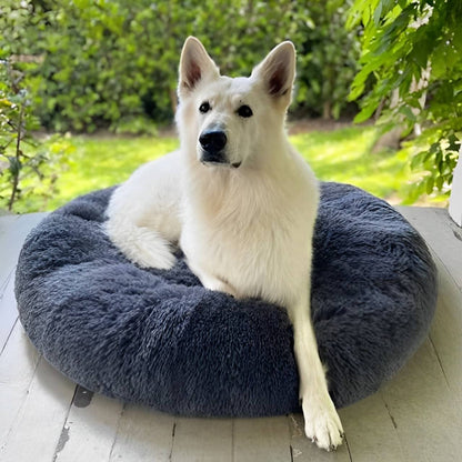 Calming Cooling Dog Bed | Orthopedic Memory Foam, Waterproof & Ideal for All Sizes and Outdoor Use