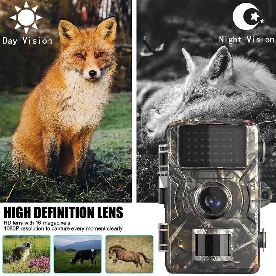 Night Vision Outdoor Wildlife Camera for Animals, Infrared, Motion Detection, Waterproof, Ideal for Nature Observation