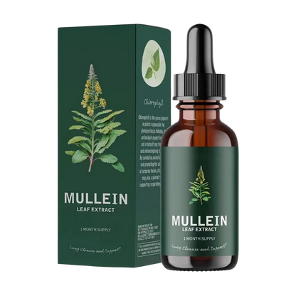 Gluten-Free Mullein Herbal Supplement for Lung Health Support & Respiratory Wellness