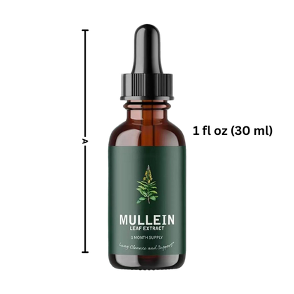 Gluten-Free Mullein Herbal Supplement for Lung Health Support & Respiratory Wellness