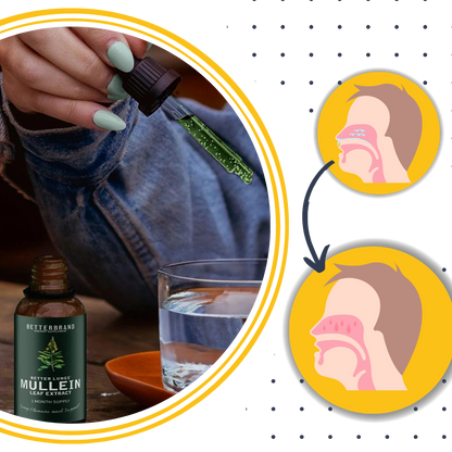 Gluten-Free Mullein Herbal Supplement for Lung Health Support & Respiratory Wellness