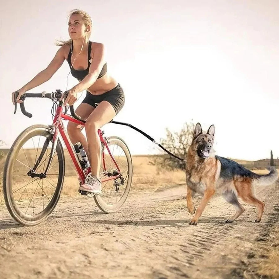 Bike Dog Tow Leash | Hands-Free, Quick Release & Safe for Medium to Large Dogs While Biking