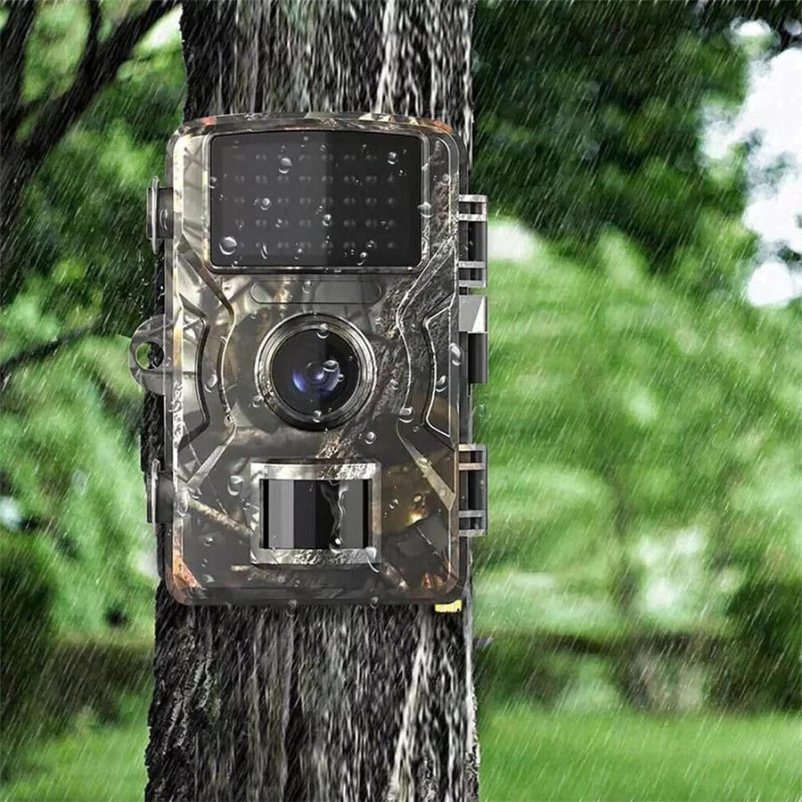 Night Vision Outdoor Wildlife Camera for Animals, Infrared, Motion Detection, Waterproof, Ideal for Nature Observation