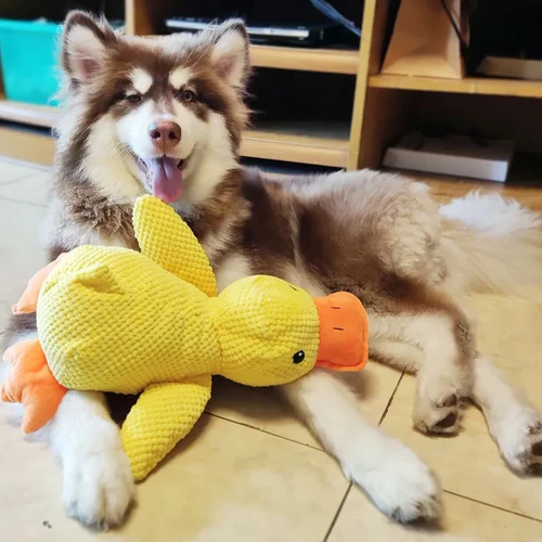 Calming Duck Dog Toy | Durable, Chewable & Interactive for All Dog Sizes