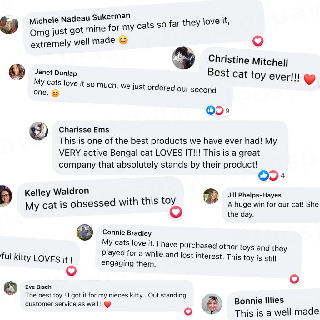 Interactive Bird Simulation Cat Toy Set | Self-Holding Suction Base & Engaging for Indoor Play | Most Interactive Cat Toys & Most Entertaining Cat Toys