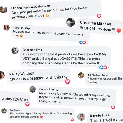 Interactive Bird Simulation Cat Toy Set | Self-Holding Suction Base & Engaging for Indoor Play | Most Interactive Cat Toys & Most Entertaining Cat Toys