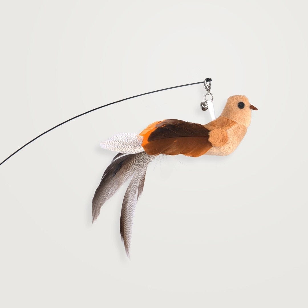 Interactive Bird Simulation Cat Toy Set | Self-Holding Suction Base & Engaging for Indoor Play | Most Interactive Cat Toys & Most Entertaining Cat Toys