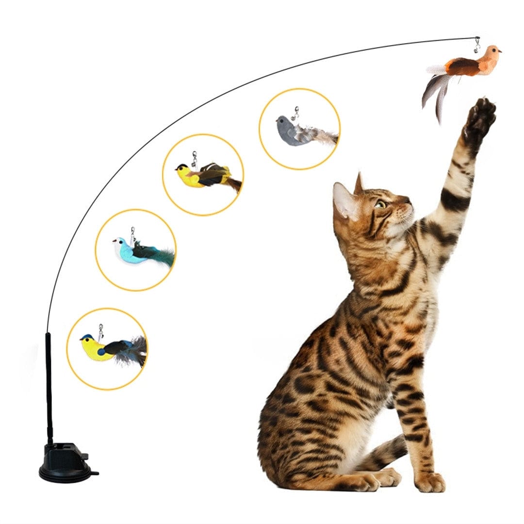 Interactive Bird Simulation Cat Toy Set | Self-Holding Suction Base & Engaging for Indoor Play | Most Interactive Cat Toys & Most Entertaining Cat Toys
