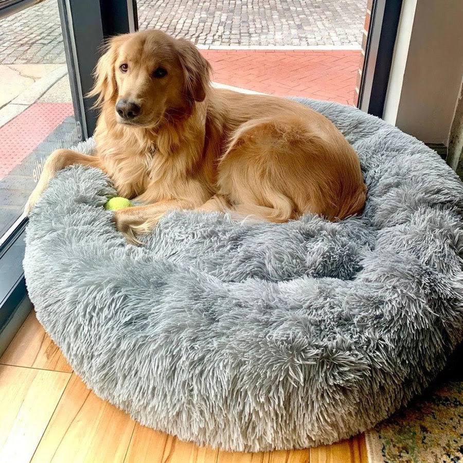 Calming Cooling Dog Bed | Orthopedic Memory Foam, Waterproof & Ideal for All Sizes and Outdoor Use