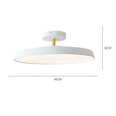 Adjustable LED Ceiling Lamp with Modern Design for Living Room & Home Office Lighting