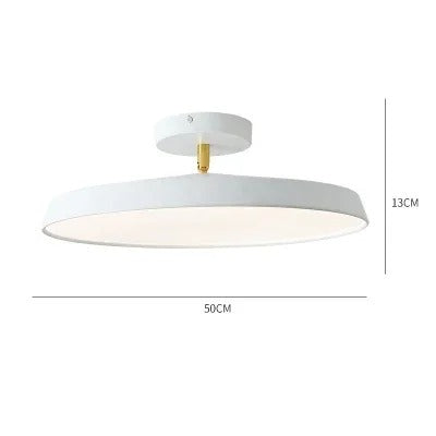 Adjustable LED Ceiling Lamp with Modern Design for Living Room & Home Office Lighting