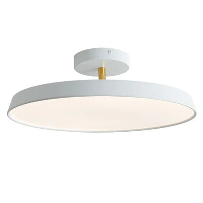 Adjustable LED Ceiling Lamp with Modern Design for Living Room & Home Office Lighting
